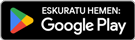 Deskargatu Google playen