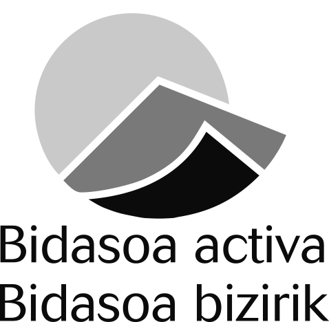 Bidasoa Activa logo